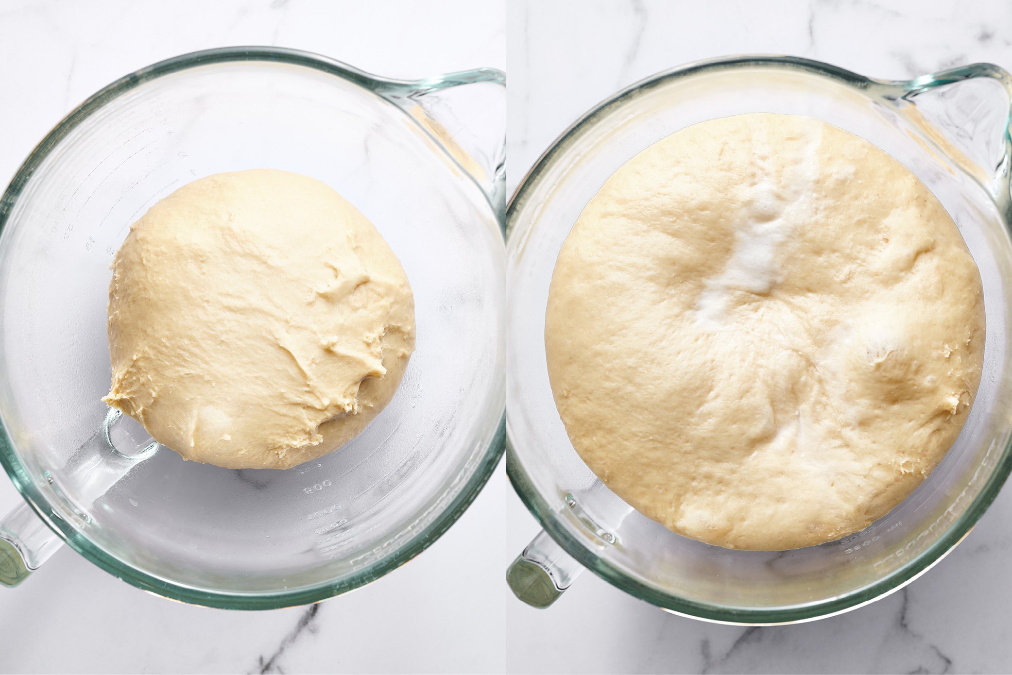 dough before and after rising.