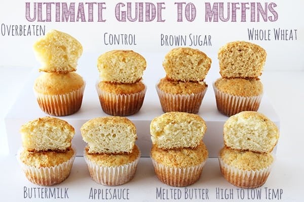 Ultimate Guide to Muffins - what makes muffins soft, tender, tough, crumbly, or tall! Click to find out!